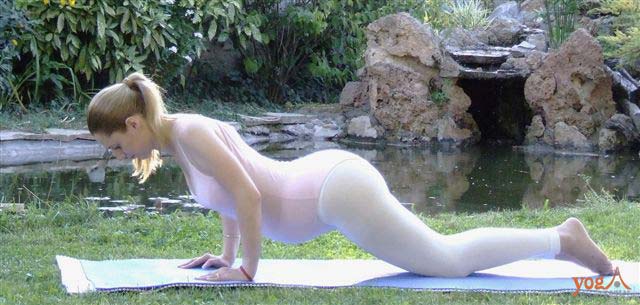 Dandasana (varijacija)